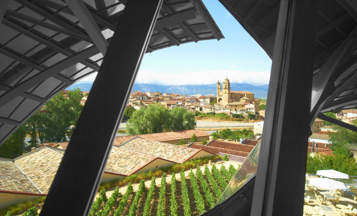 Vineyard views from Hotel Marques de Riscal in Spain