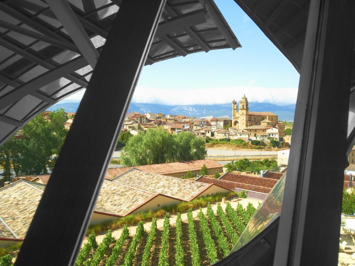 Vineyard views from Hotel Marques de Riscal in Spain