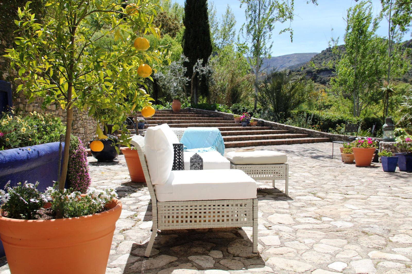 sun terrace with white wicker furniture and large terracotta plant pot with orange tree at villa Casa de Valle in Andalucia, Spain