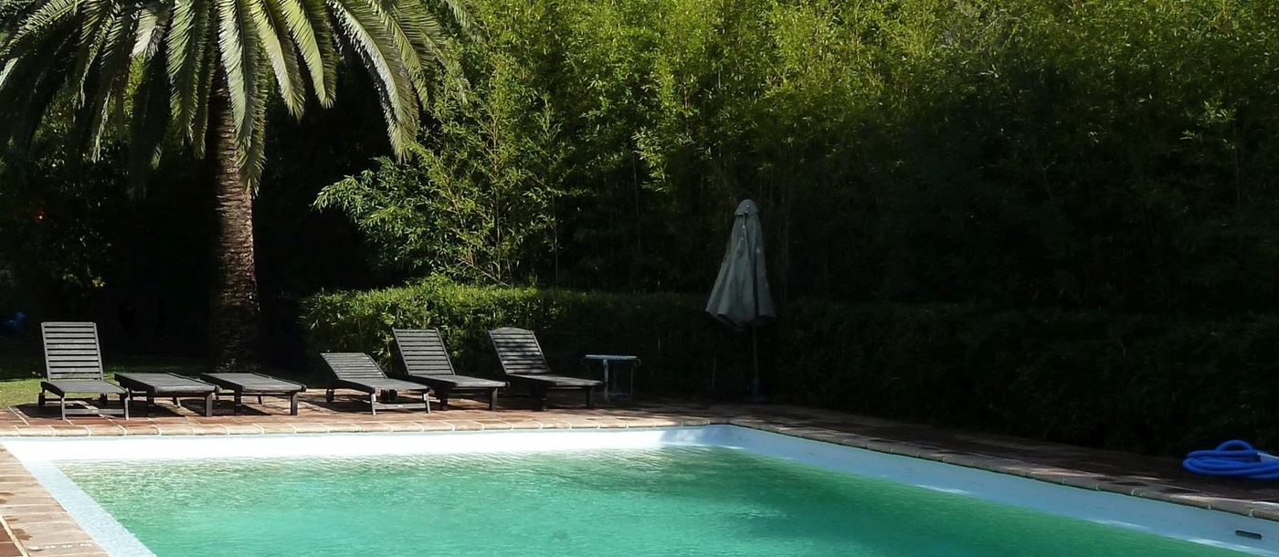 Pool with sun loungers, umbrella and palm tree at Casa del Rio in Andalucia, Spain