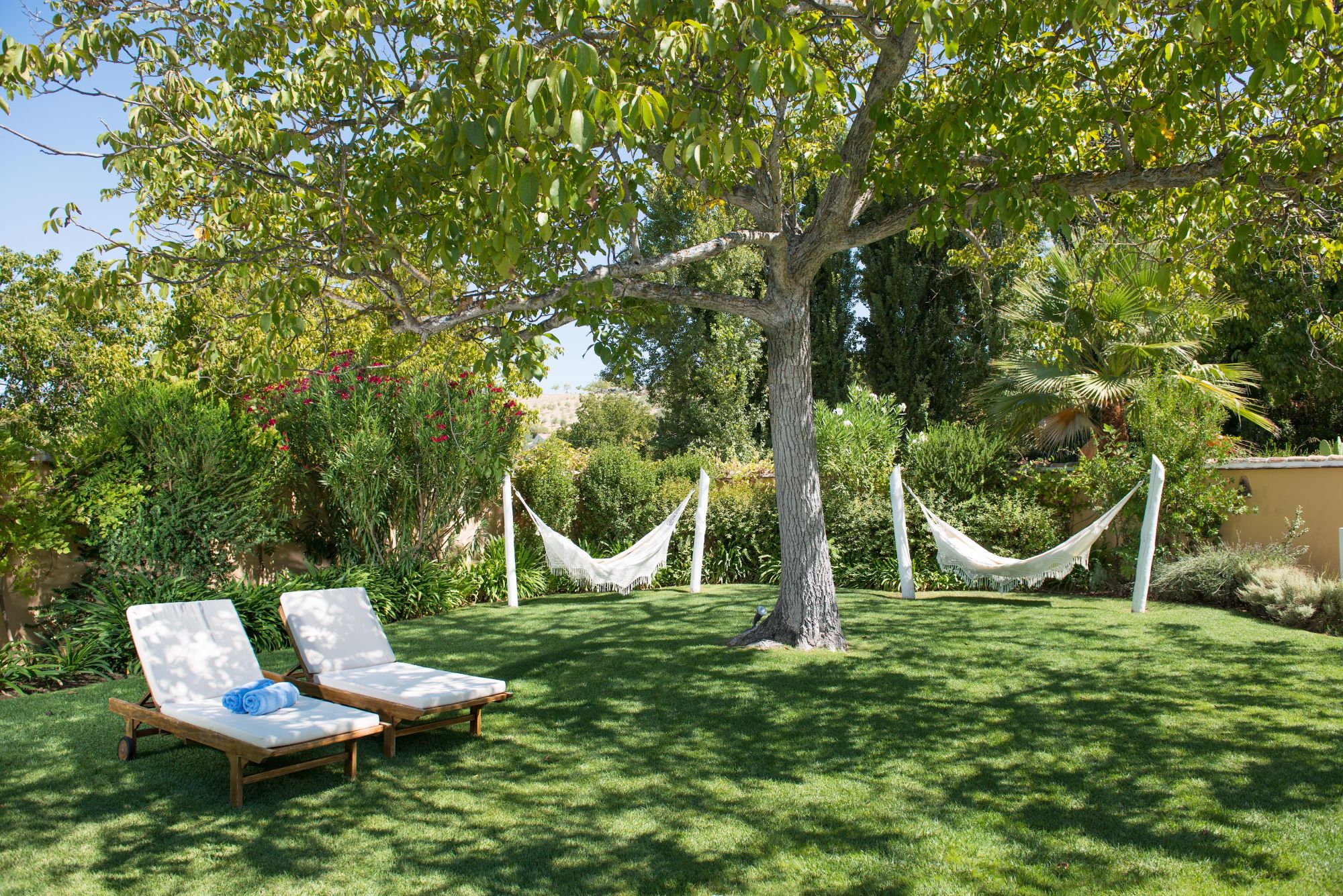 Garden with hammocks at La Huerte el Noque