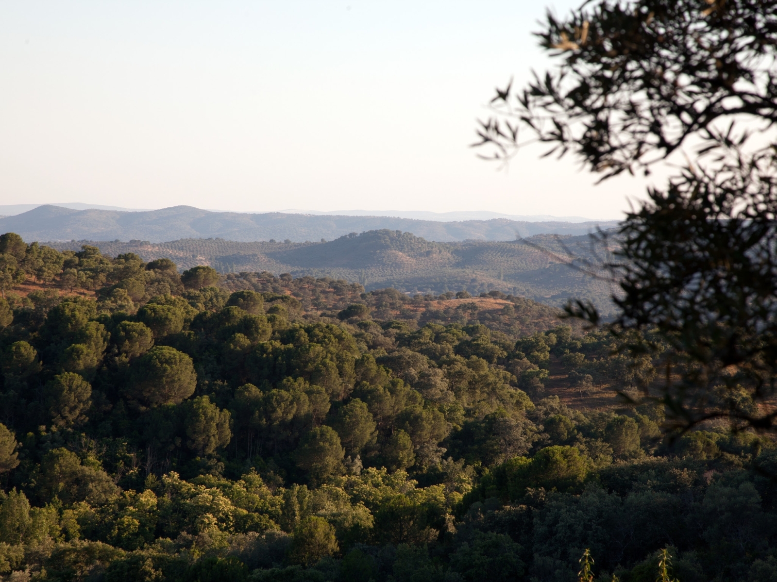 National park vistas in Andalucia in Spain