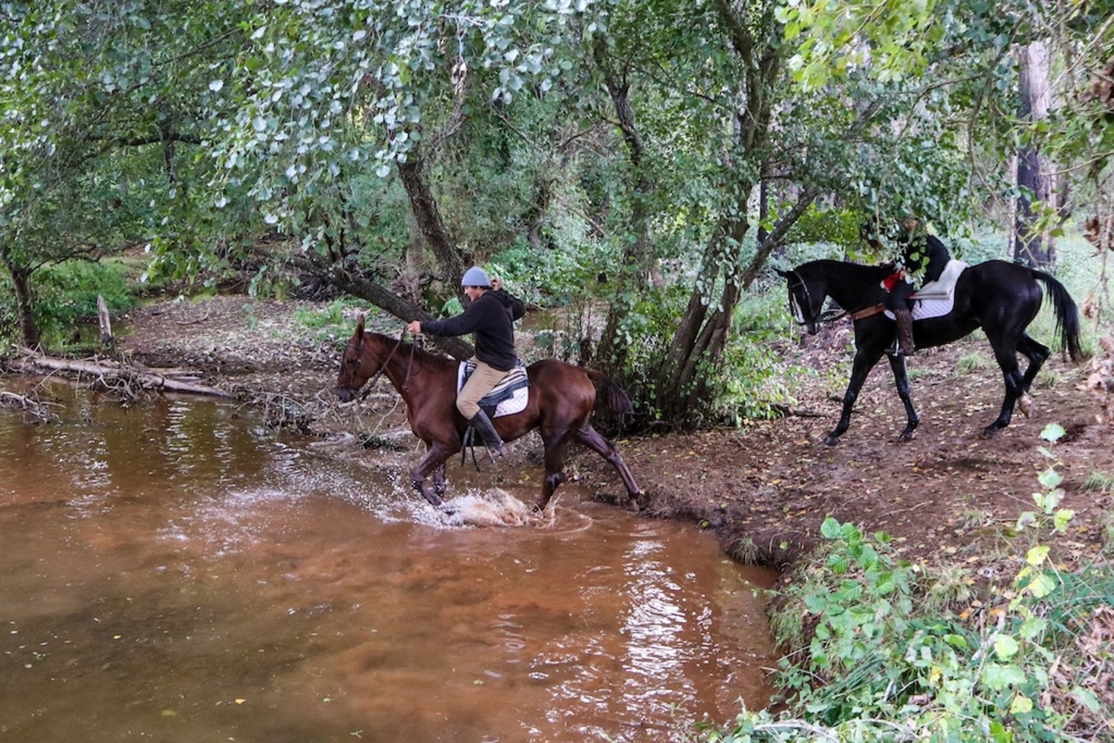 Riding in to water in Andalucia in Spain