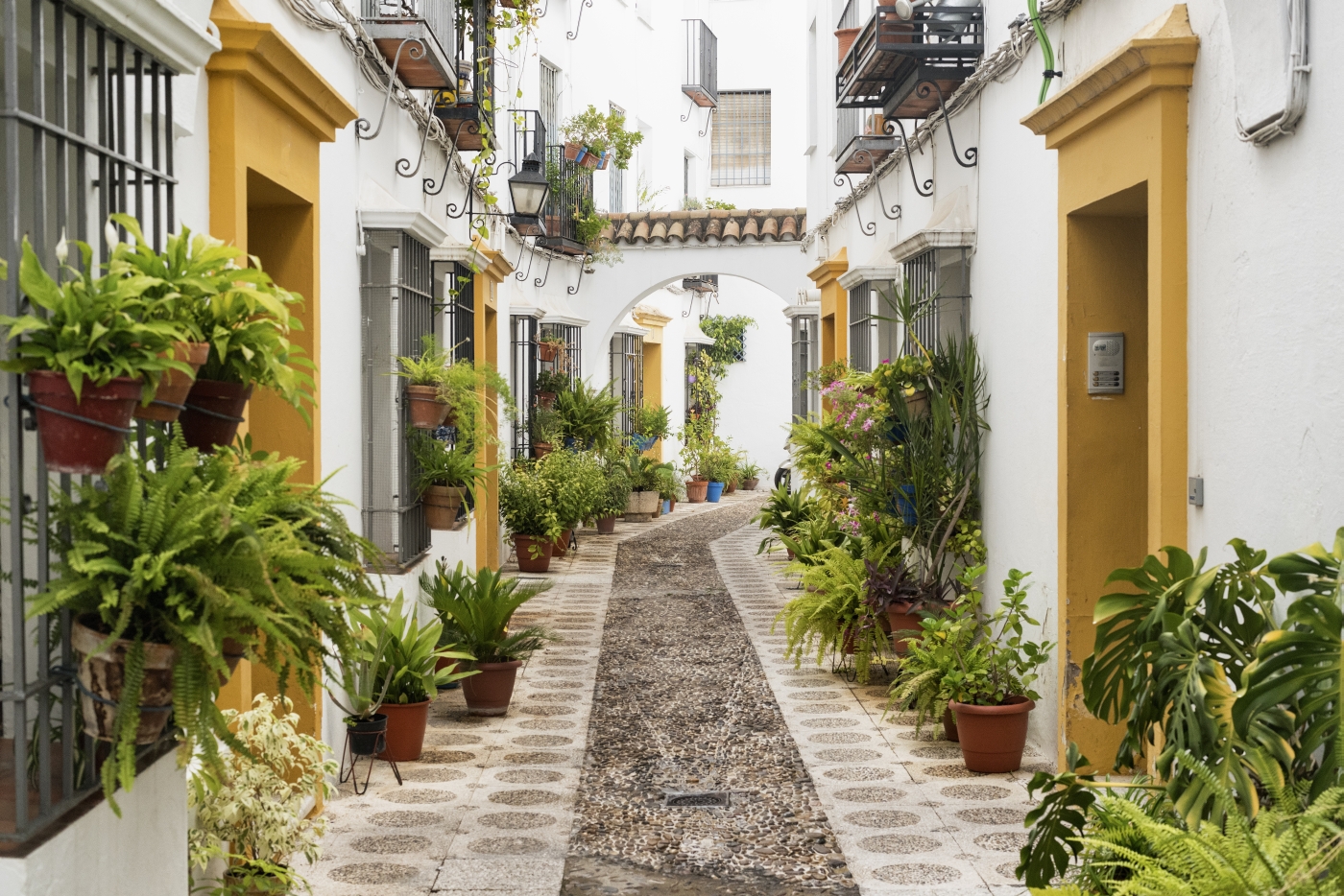 Narrow streets with green plants in Cordoba, Spain