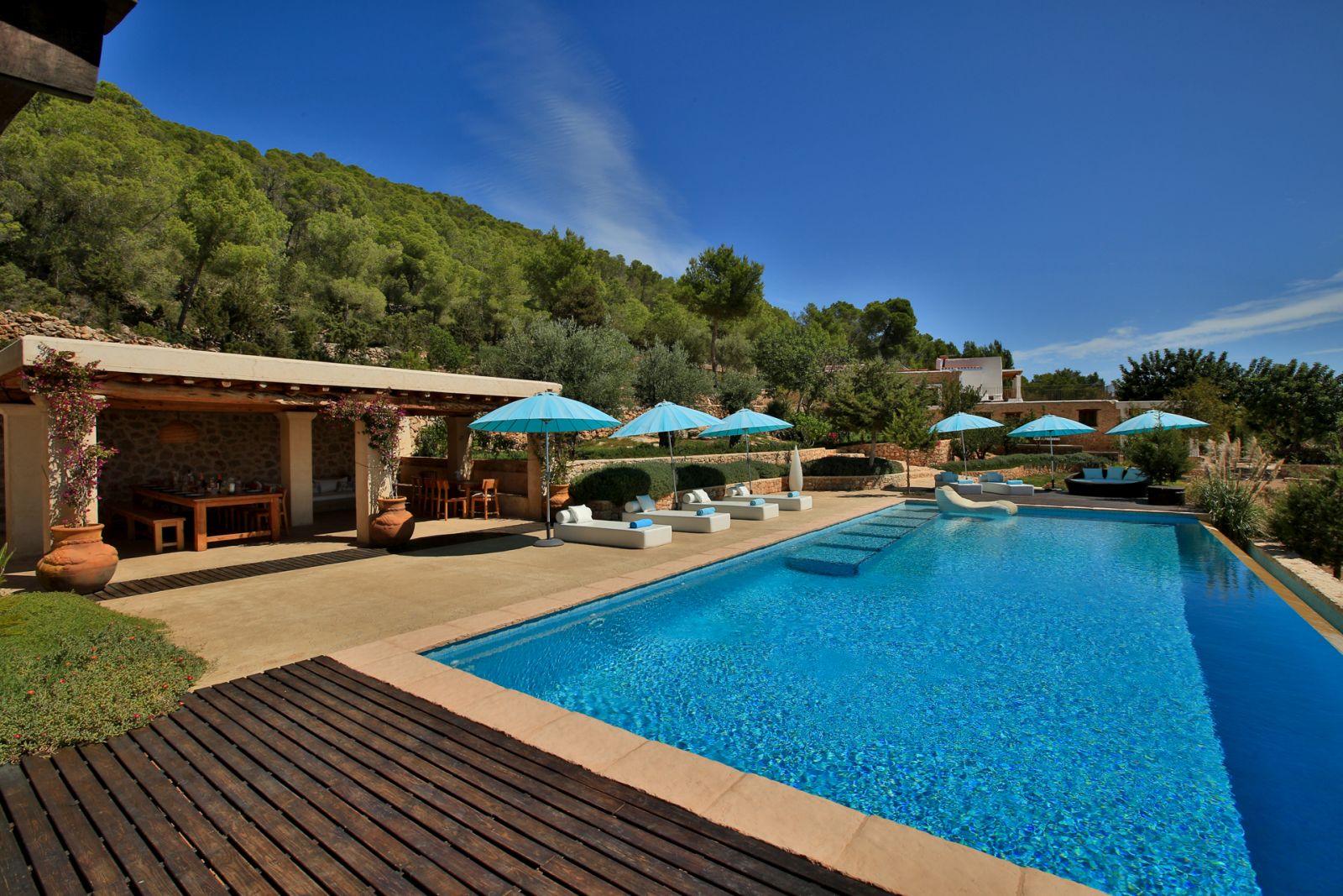 the swimming pool at the villa
