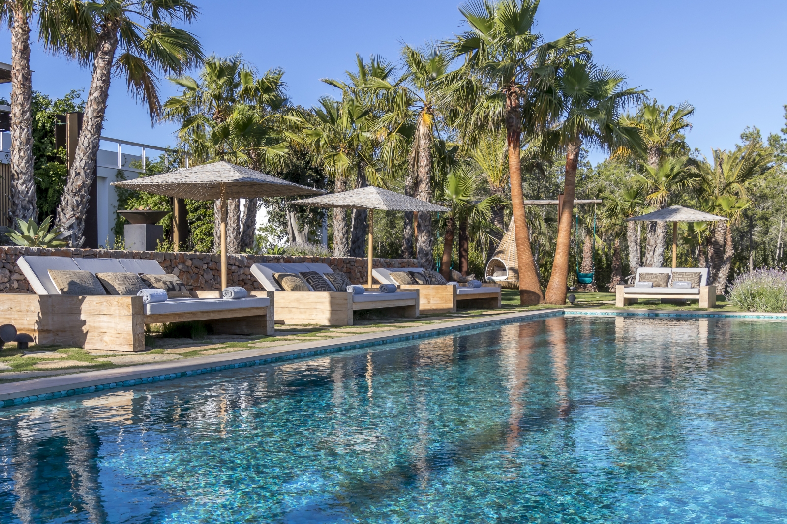 four wide sunloungers along the pool before a backgground of palms
