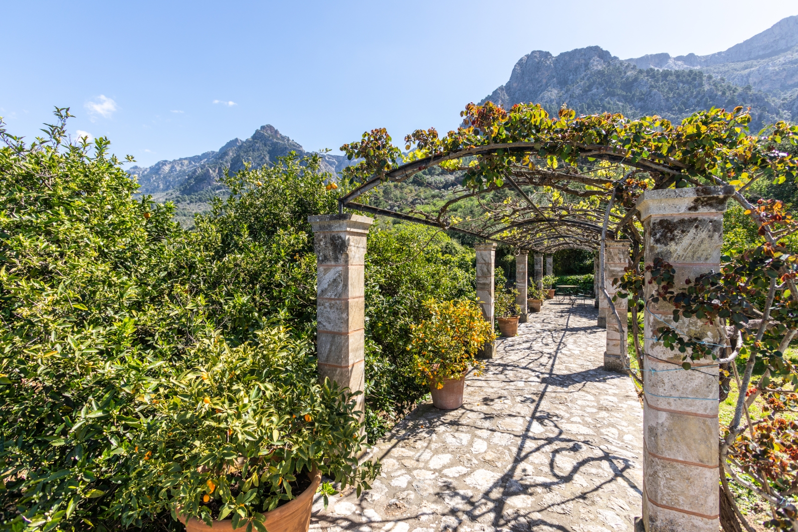 Arbour with vines, stone pillars and walkway with view of mountains in the background at Can Canals in Mallorca, Spain
