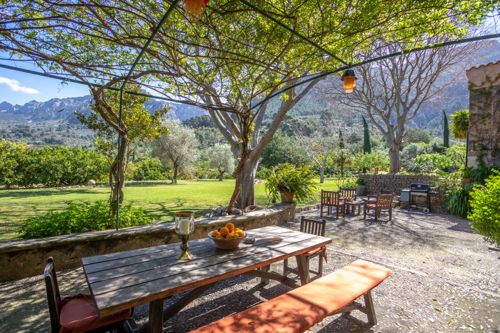 Outdoor dining area with tables, chairs, oranges, arbour and view of garden and mountains at Can Canals in Mallorca, Spain