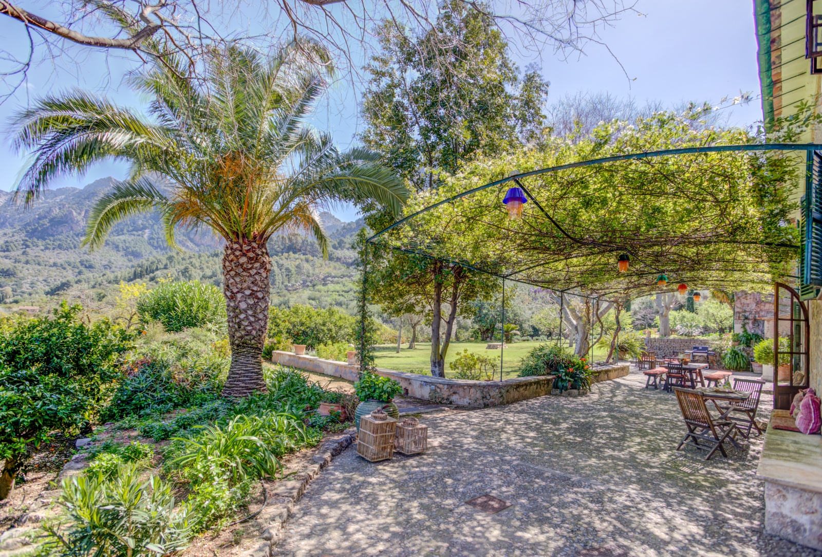 Patio with palm tree, arbour with vines, tables and chairs and view of garden and mountains at Can Canals in Mallorca, Spain