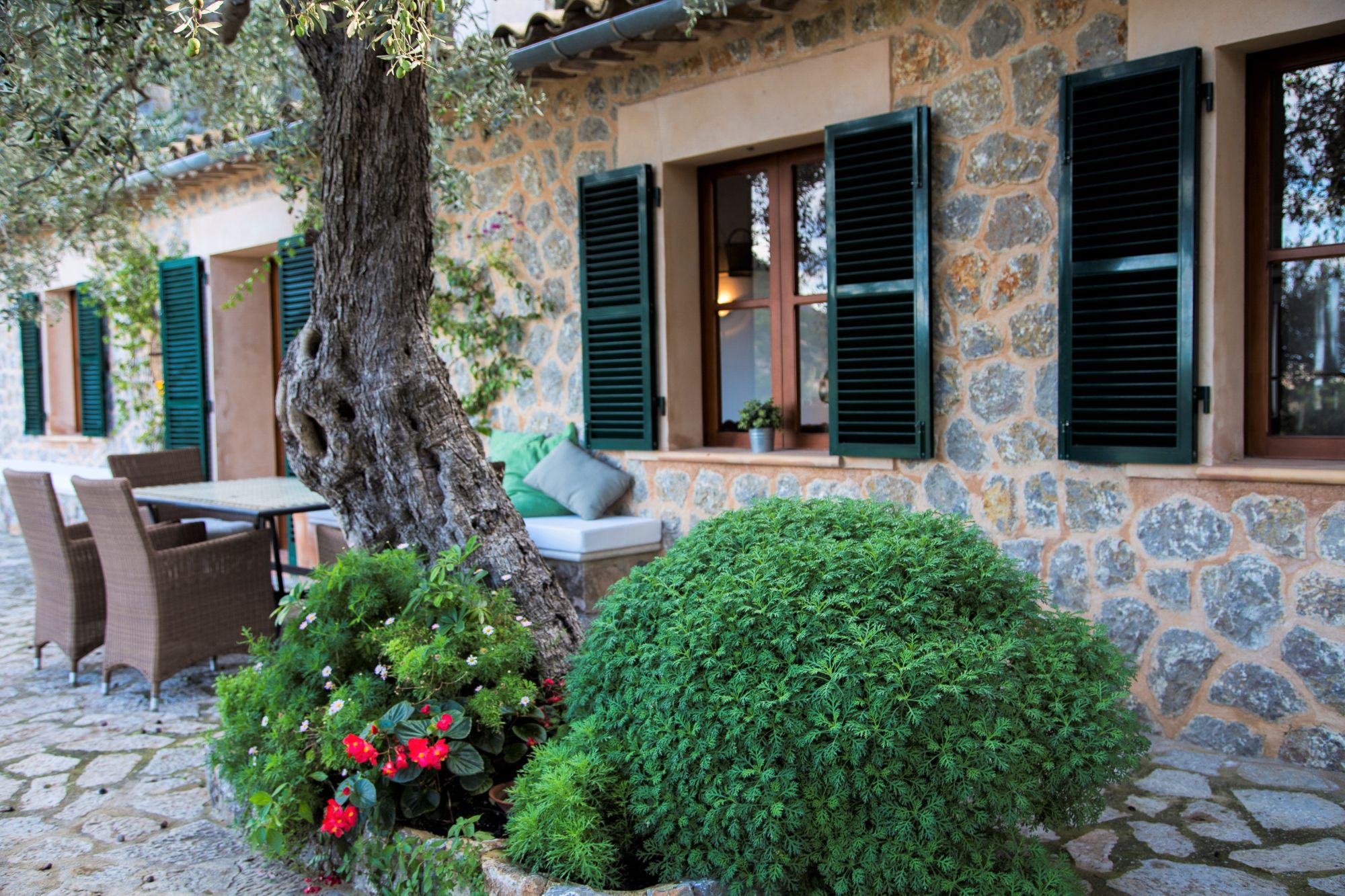 Exterior view of Can Olivia