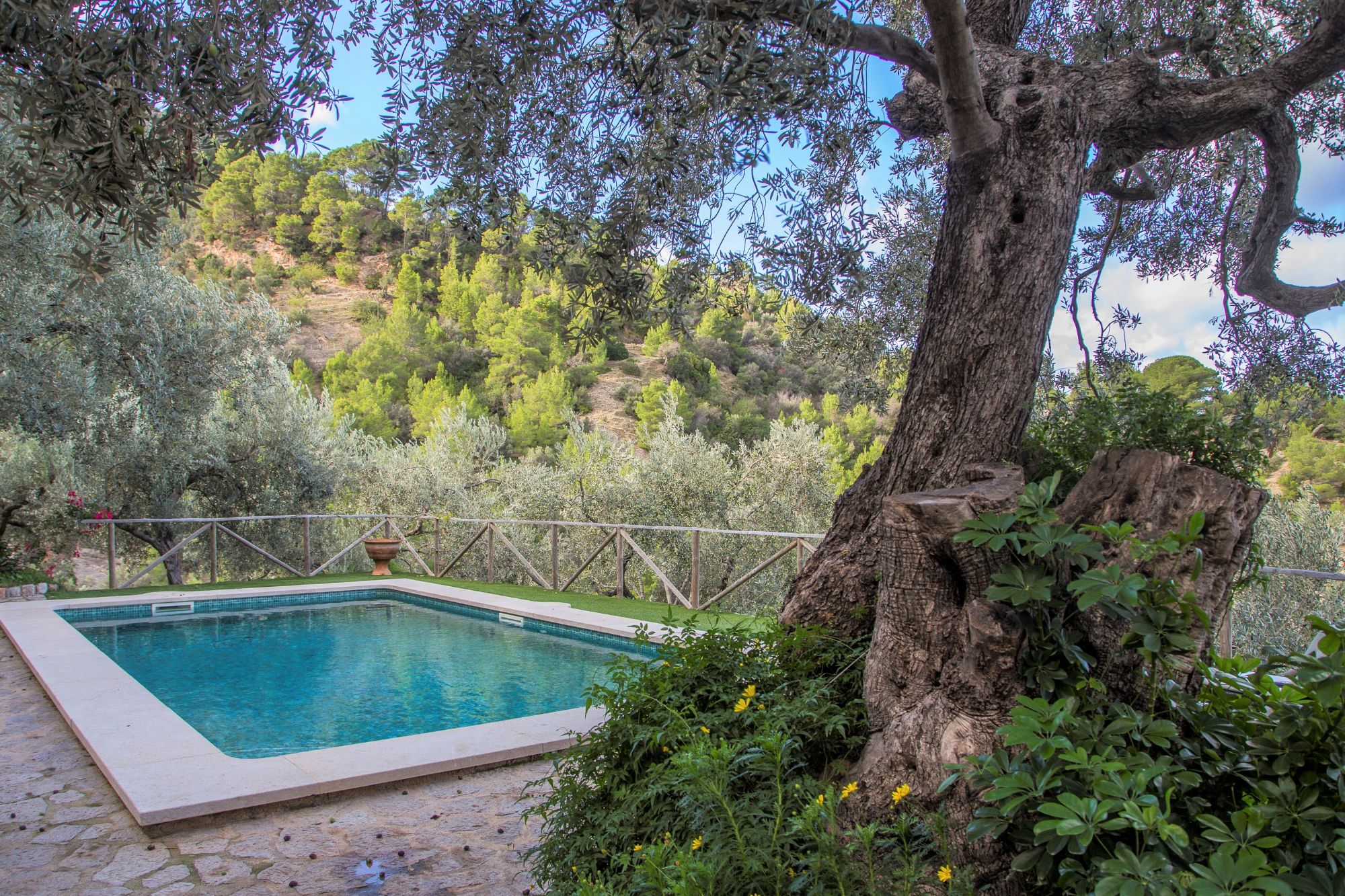 Pool at Can Olivia