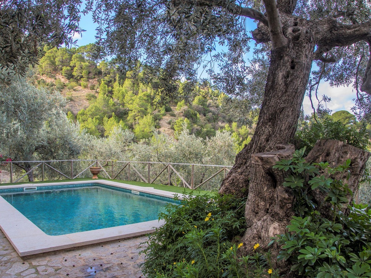 Pool at Can Olivia