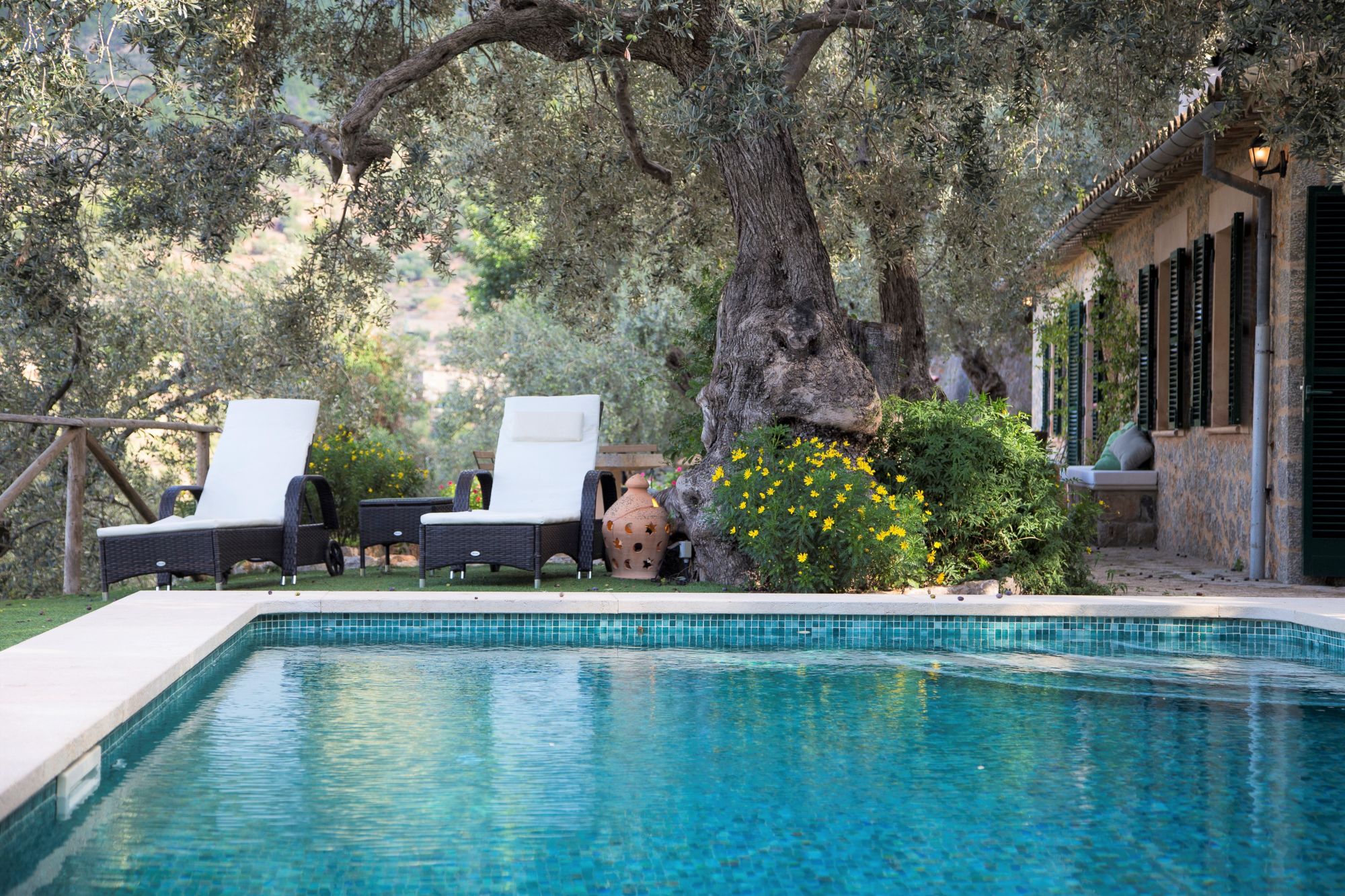 Pool at Can Olivia