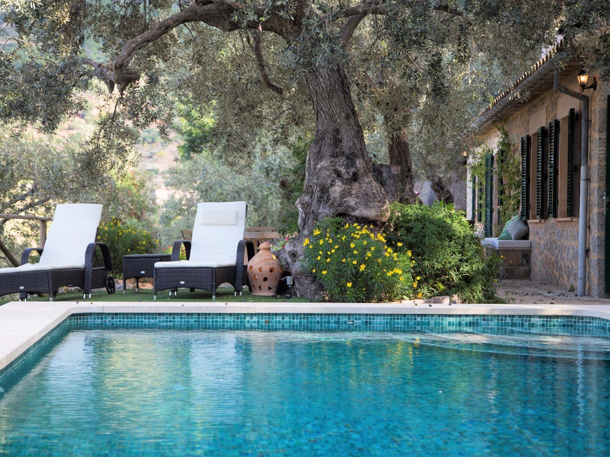 Pool at Can Olivia