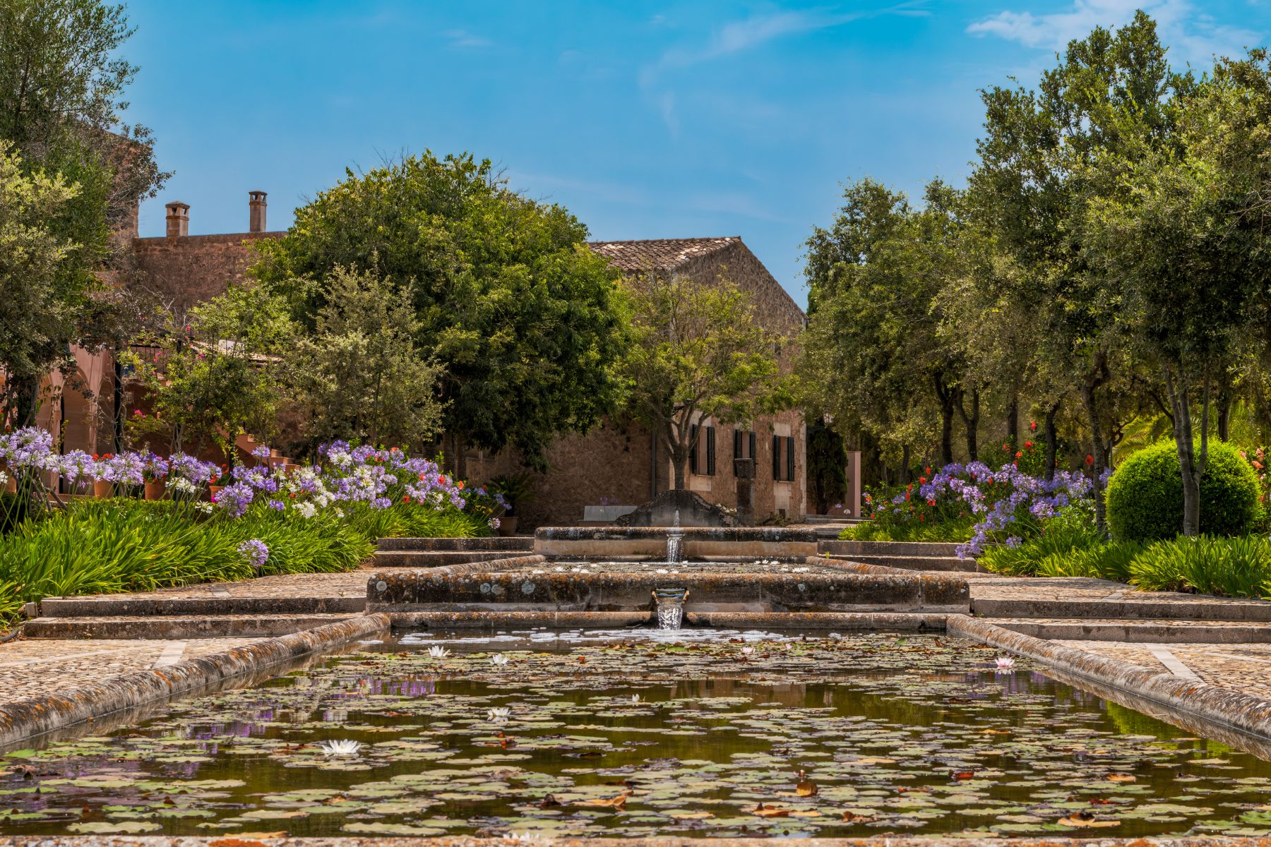 Lily pond at Casa Jardin Bella, Mallorca