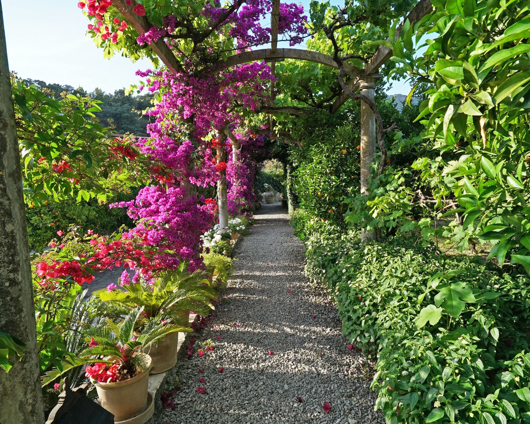 Garden at Casa Serenidad, Mallorca