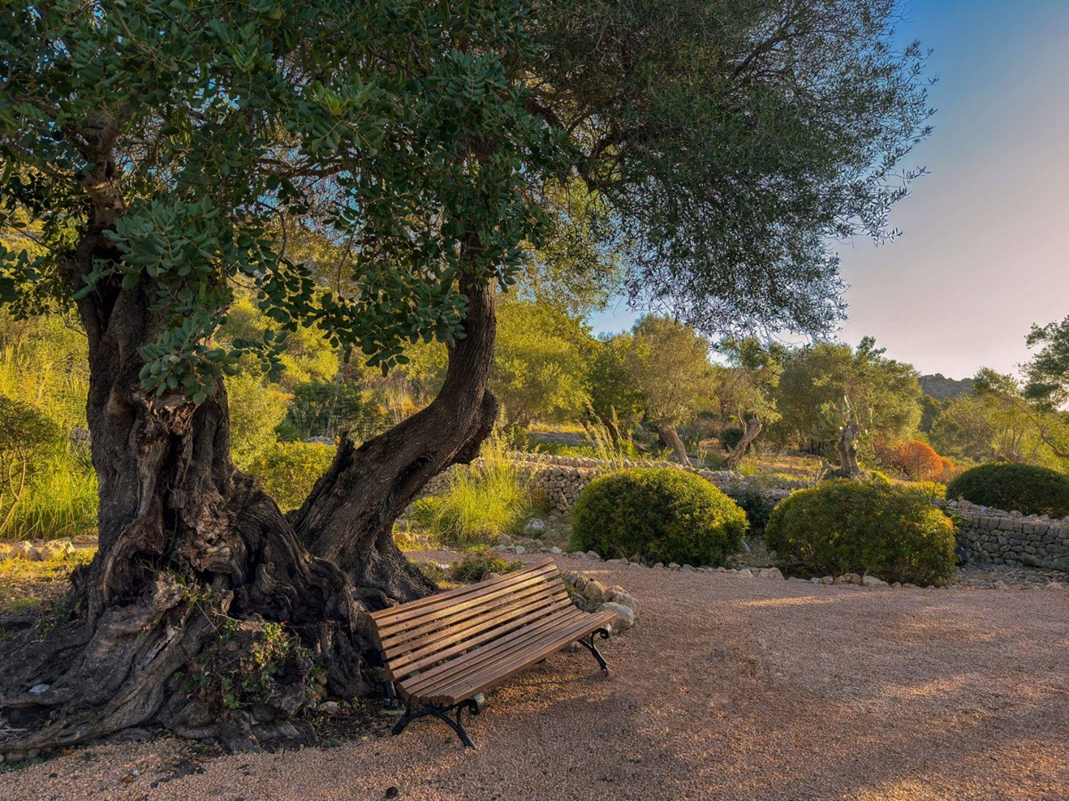 Garden at Villa Esplendor