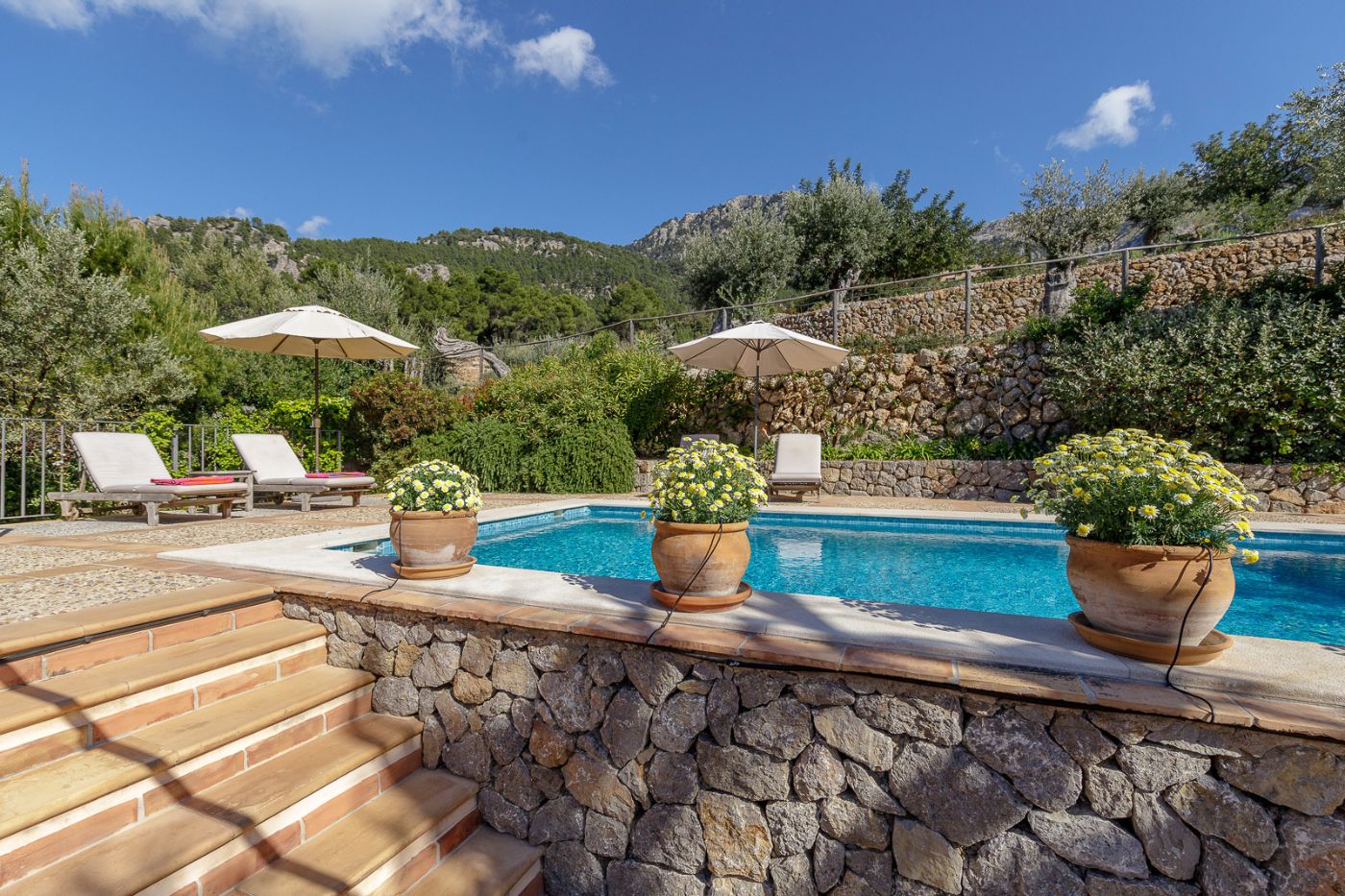 Pool at Villa Mariposa
