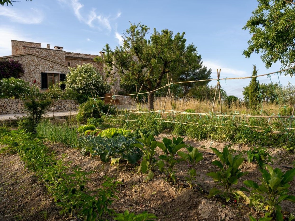 Vegetable garden at Villa Sineu Vista