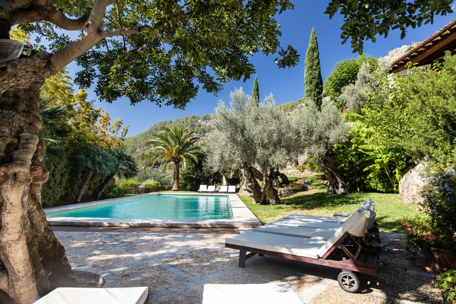 a view of the pool with sunbeds