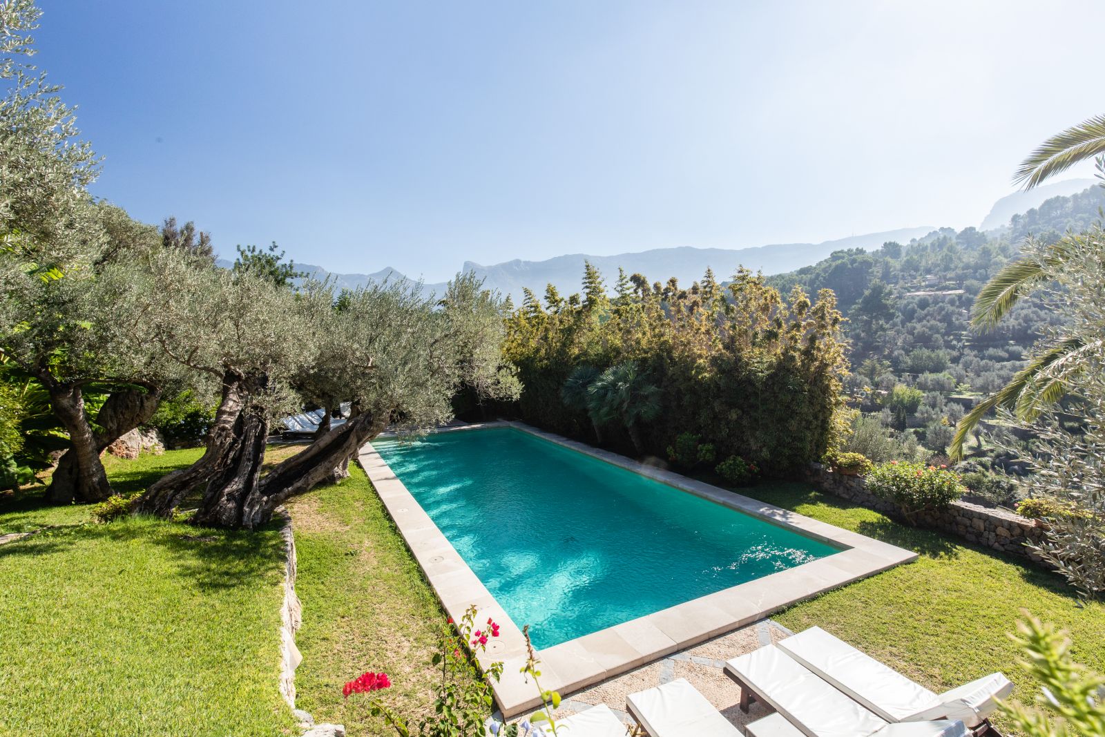 the swimming pool at the villa