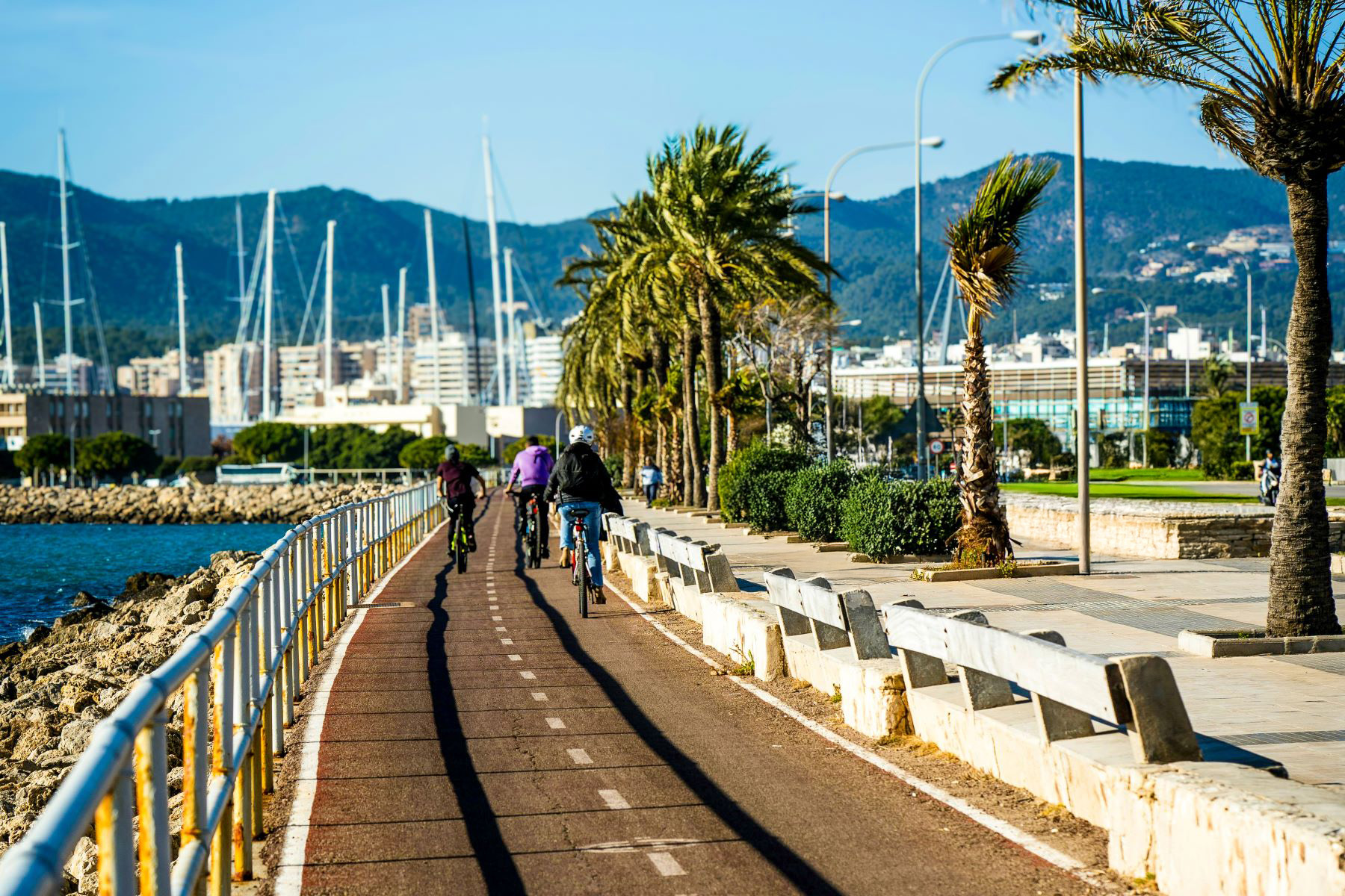 Cyclists on the Paseo Maritimo in Palma de Mallorca