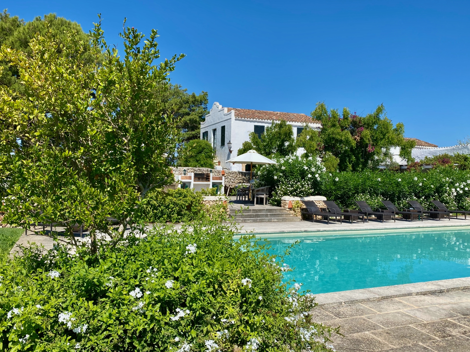Pool and pool area with flowers, sun loungers and view of villa at Finca Tortuga in Menorca, Spain