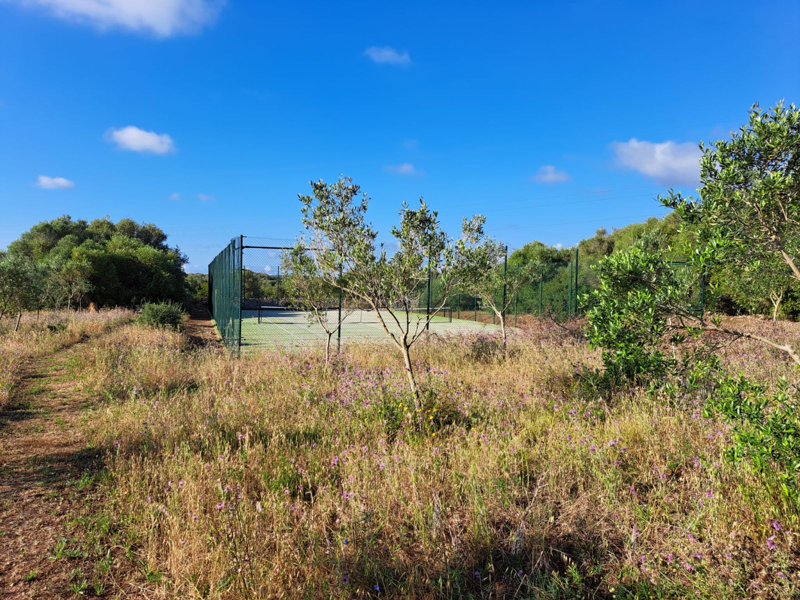 finca-tortuga-tennis-1
