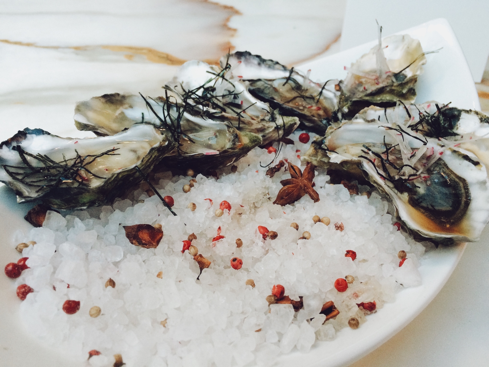 Oysters in Cap Rocat in Spain