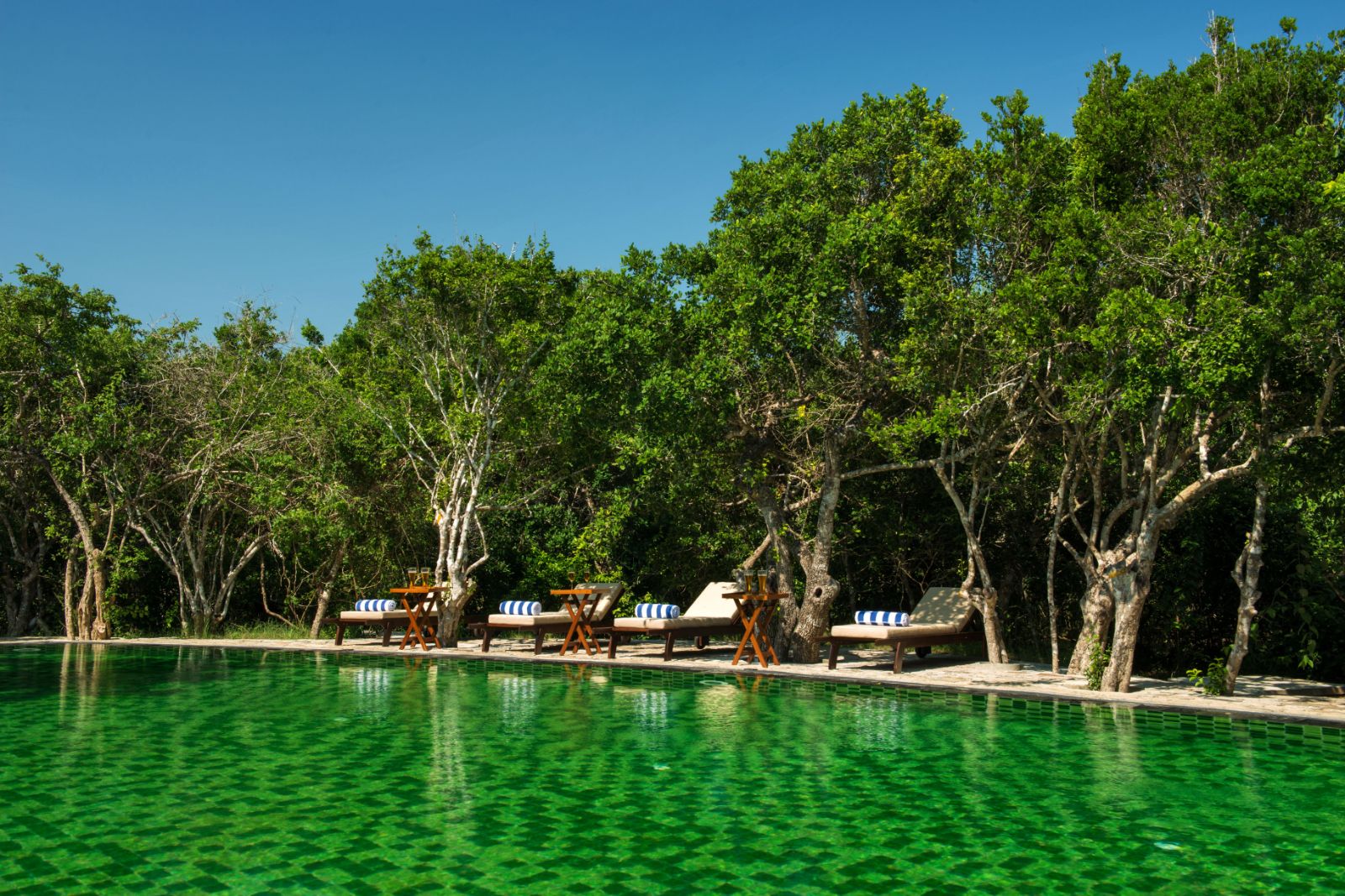 Poolside and sunbeds at Chena Huts in Yala National Park in Sri Lanka
