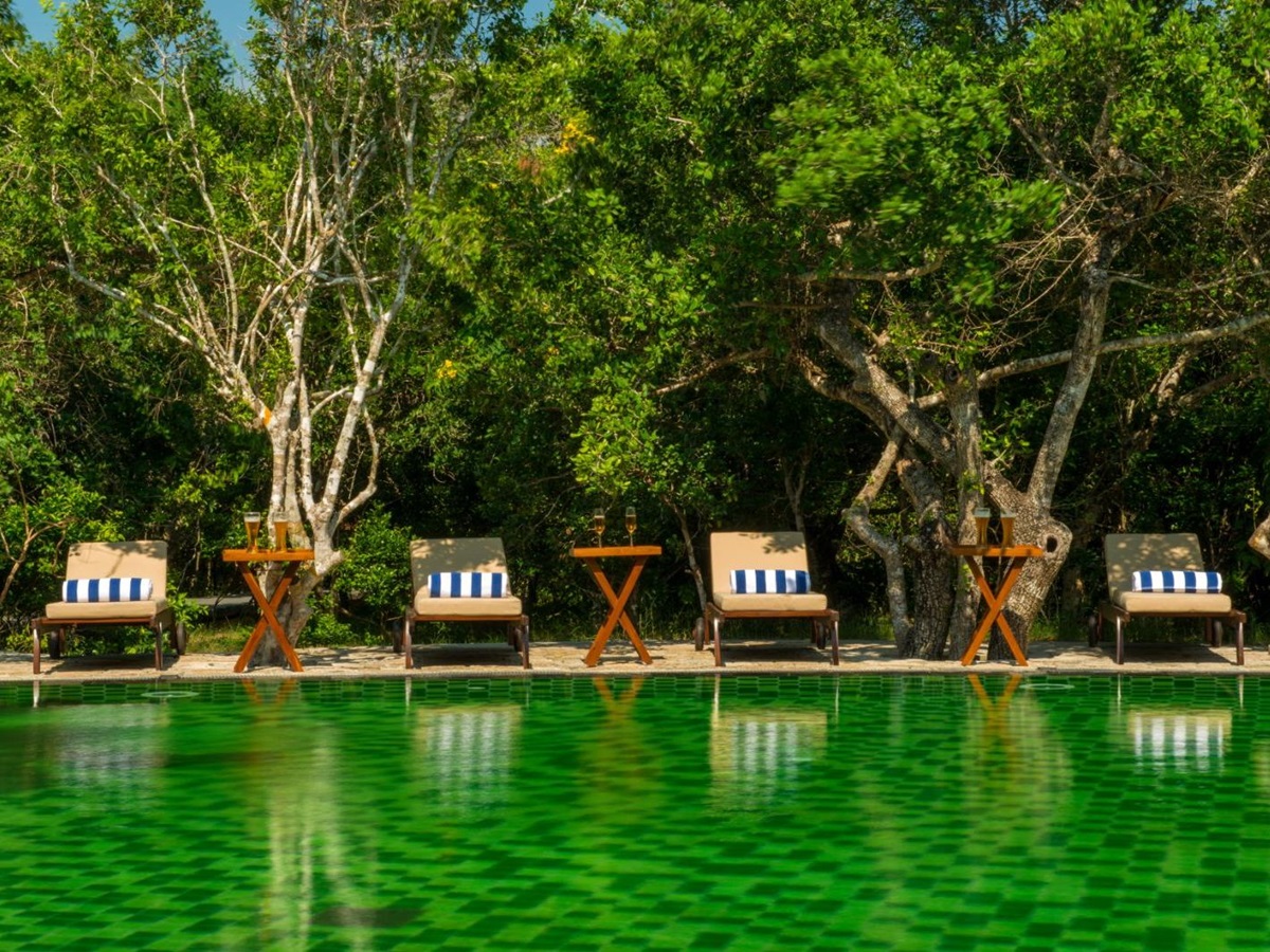 Poolside and four sunbeds at Chena Huts in Yala National Park in Sri Lanka