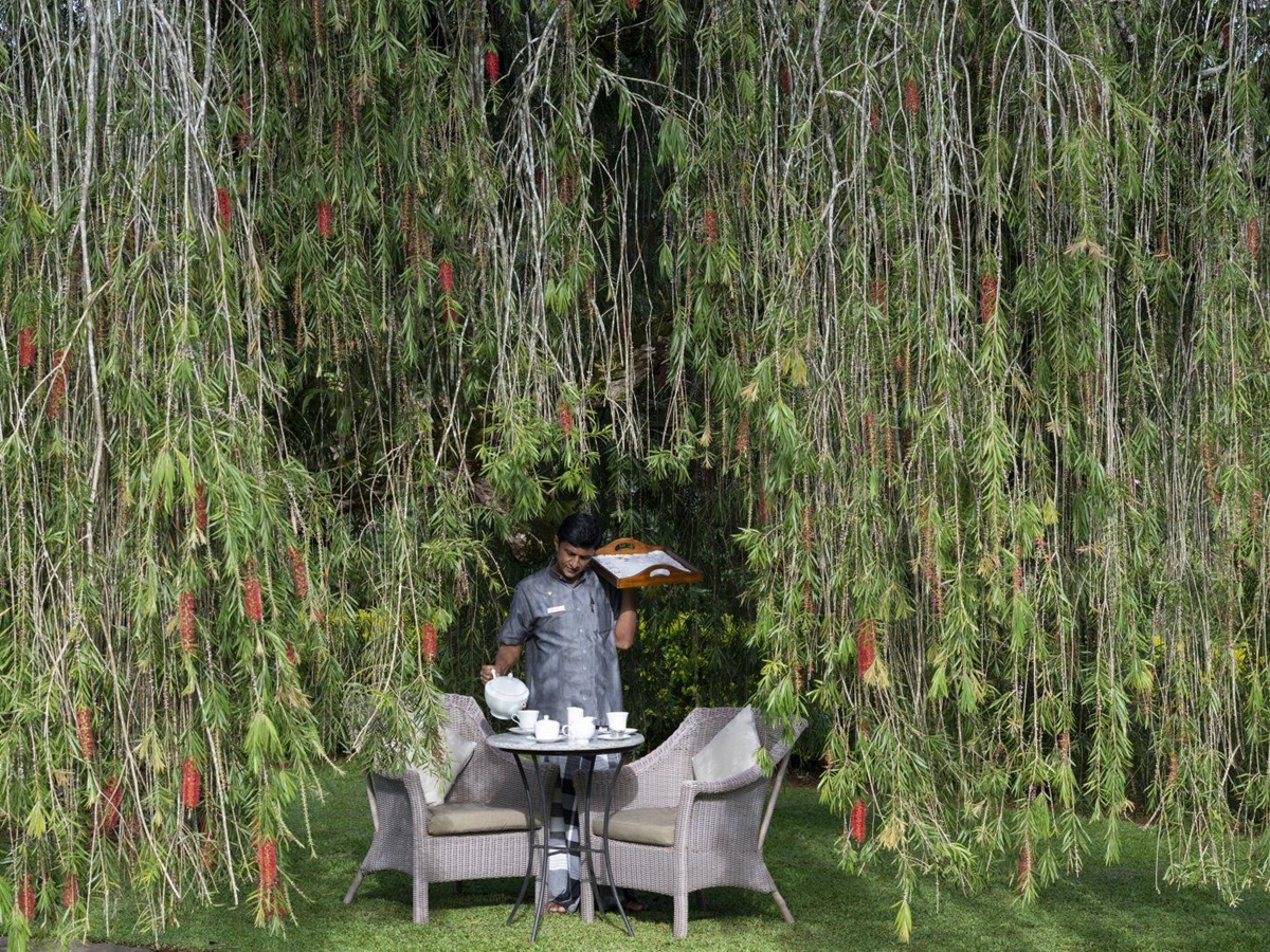 Tea in the gardens at Ceylon Tea Trails Sri Lanka