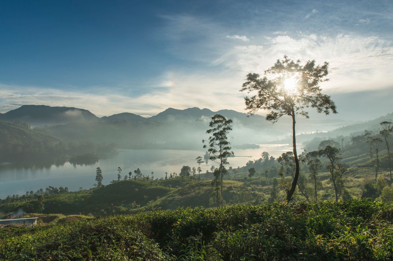 Scenery surrounding Ceylon Tea Trails in Sri Lanka