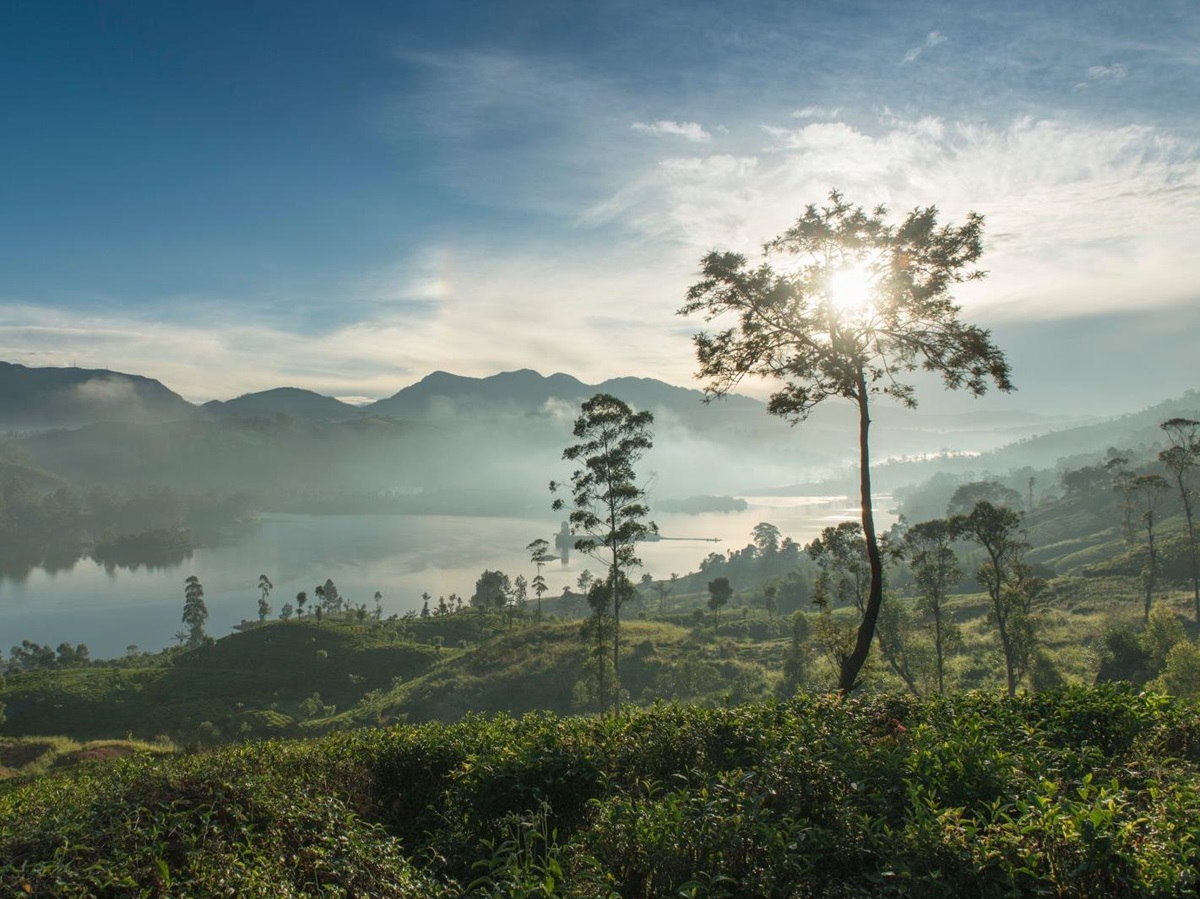 Scenery surrounding Ceylon Tea Trails in Sri Lanka