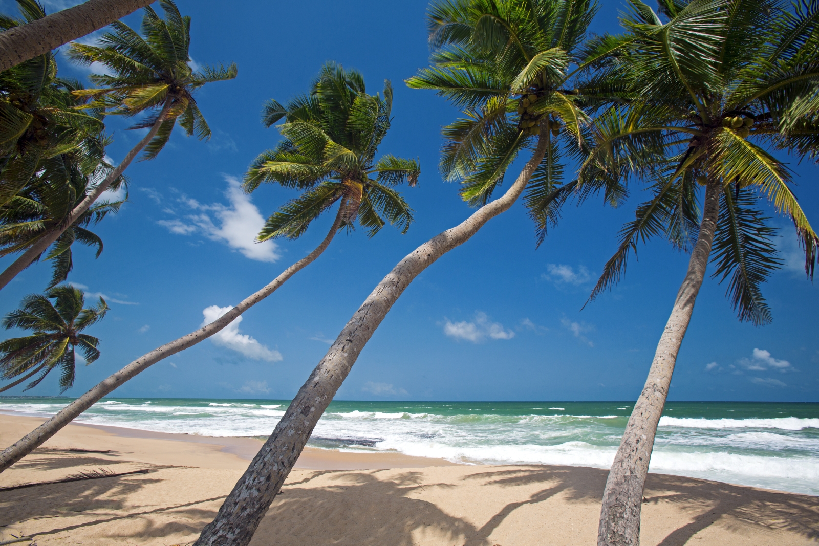 Beach near Haritha Villas Hikkaduwa Sri Lanka