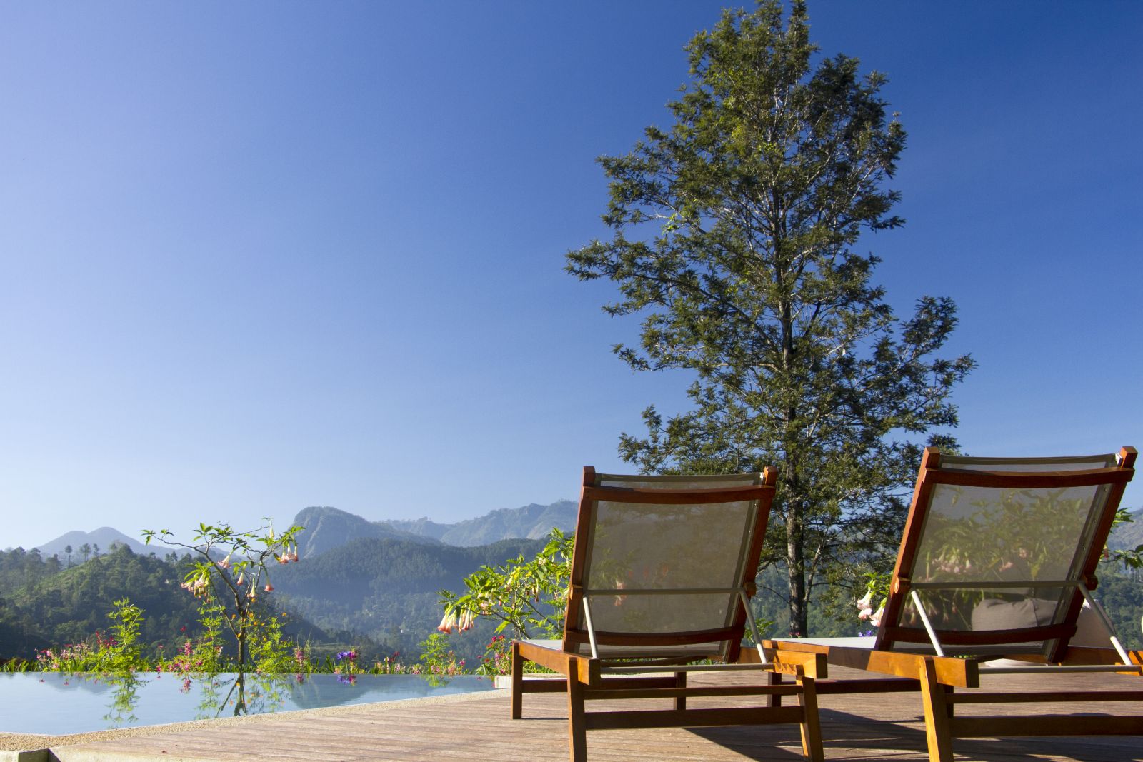 Two sunloungers on a sun deck surrounded by trees and flowers with mountains in the background at Nine Skies in Sri Lanka