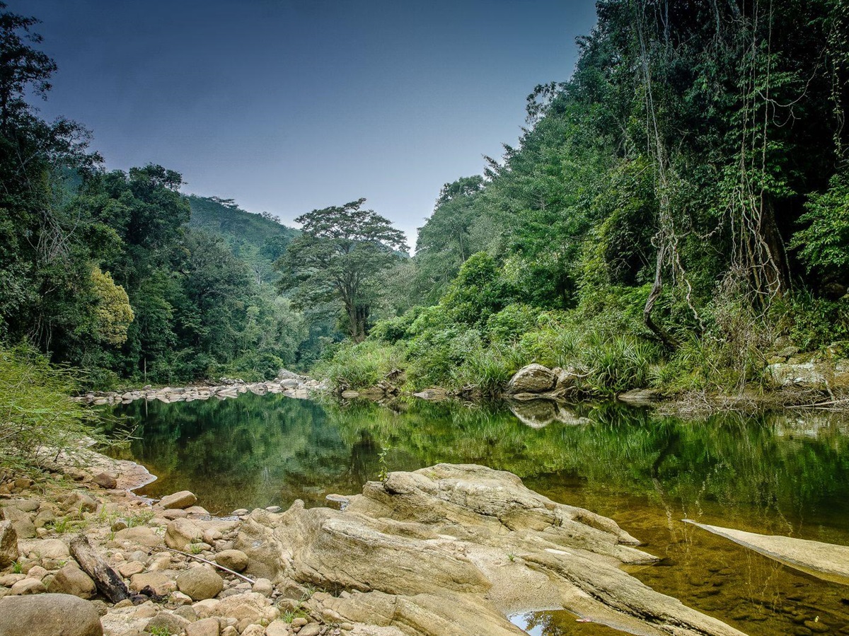 River valley near Santani Wellness Resort Sri Lanka