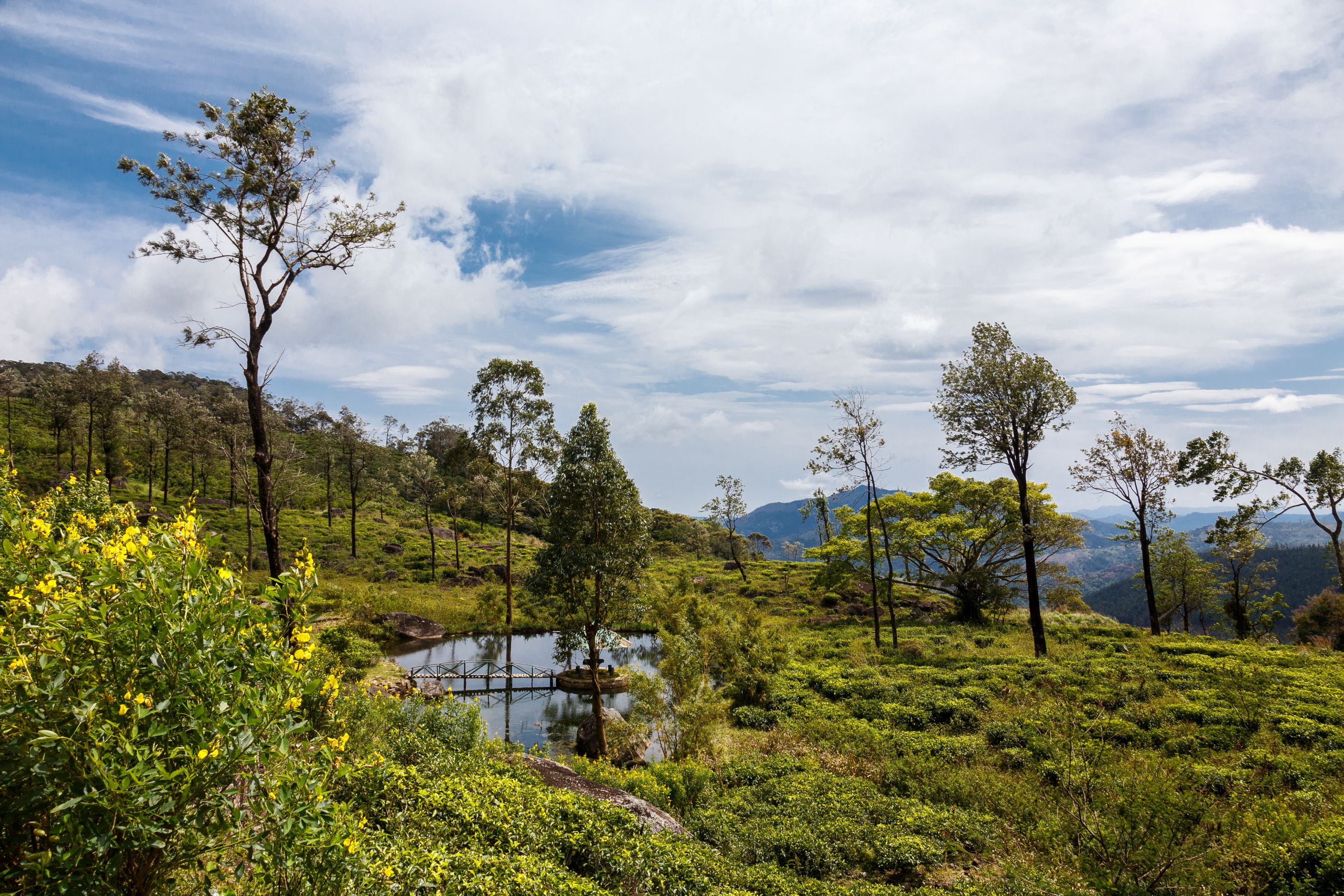 landscape near taylors hill, Sri Lanka