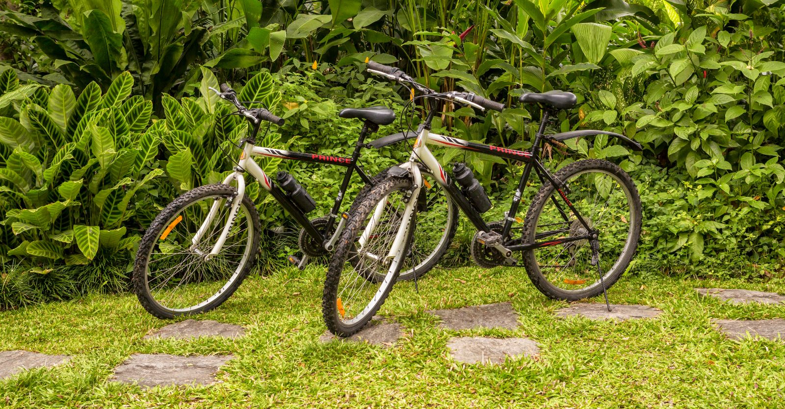 Bicycles at The kandy house in Sri Lanka