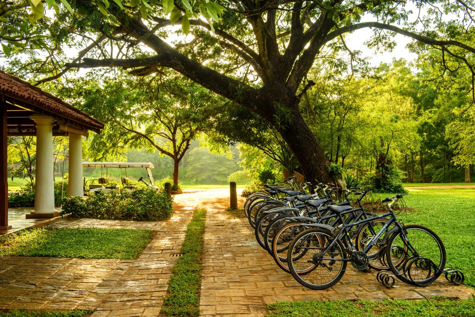 Bicycles at Uga Ulagalla in the Anuradhapura region of Sri Lanka