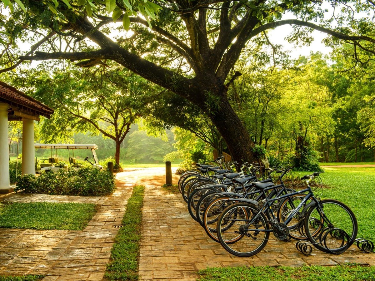Bicycles at Uga Ulagalla in the Anuradhapura region of Sri Lanka