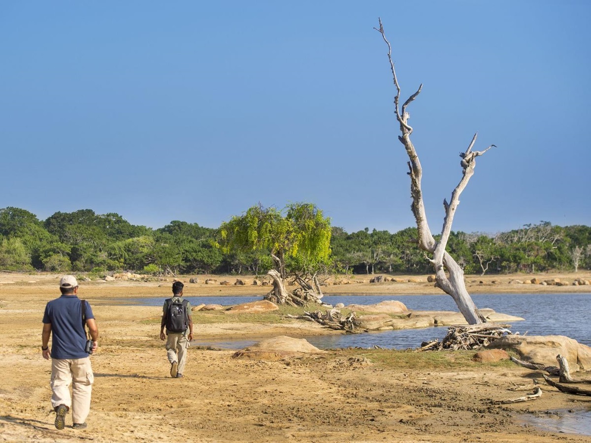 Guests on excursion in Yala from Wild Coast Tented Lodge Sri Lanka