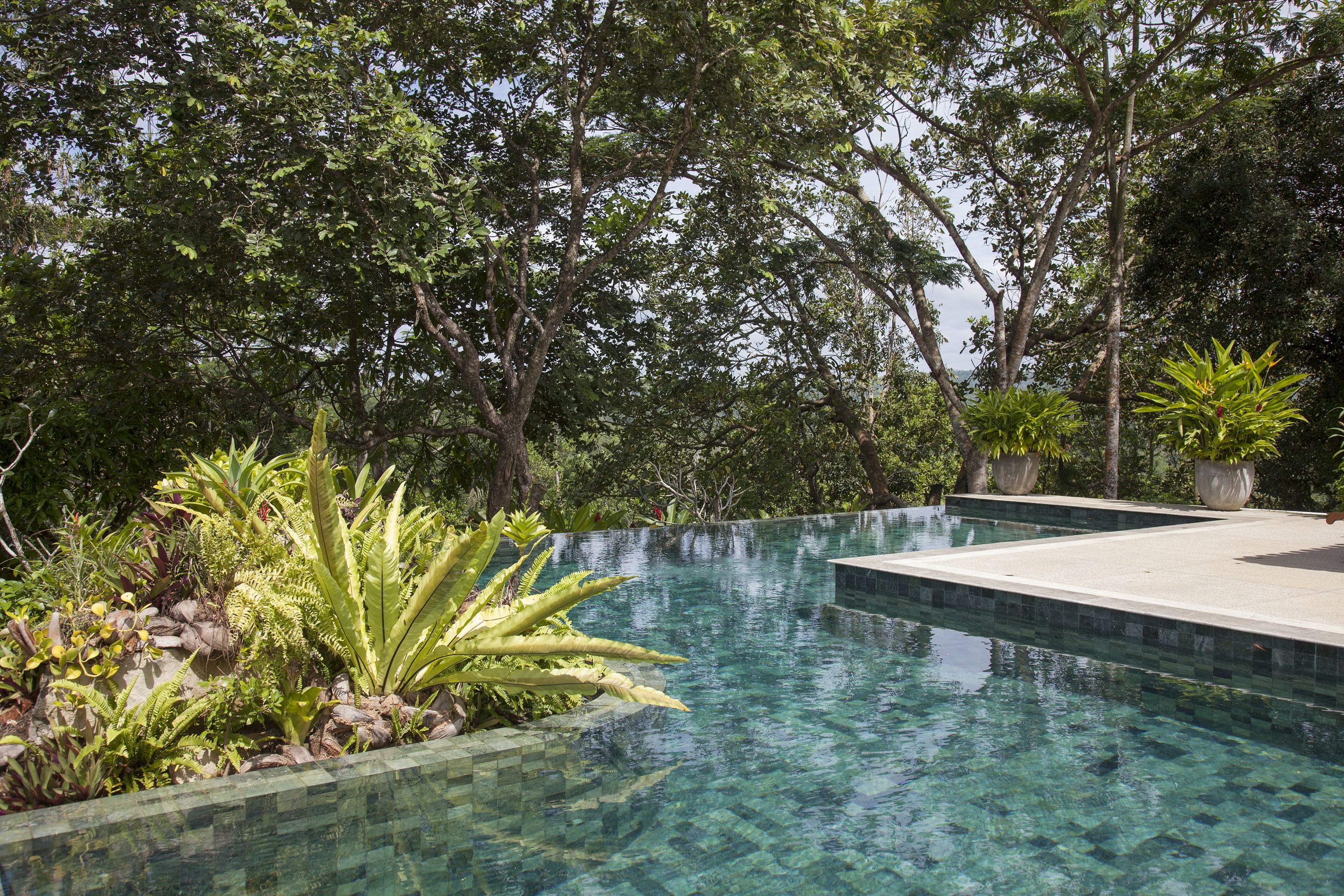 the swimming pool and gardens of sisindu t, sri lanka