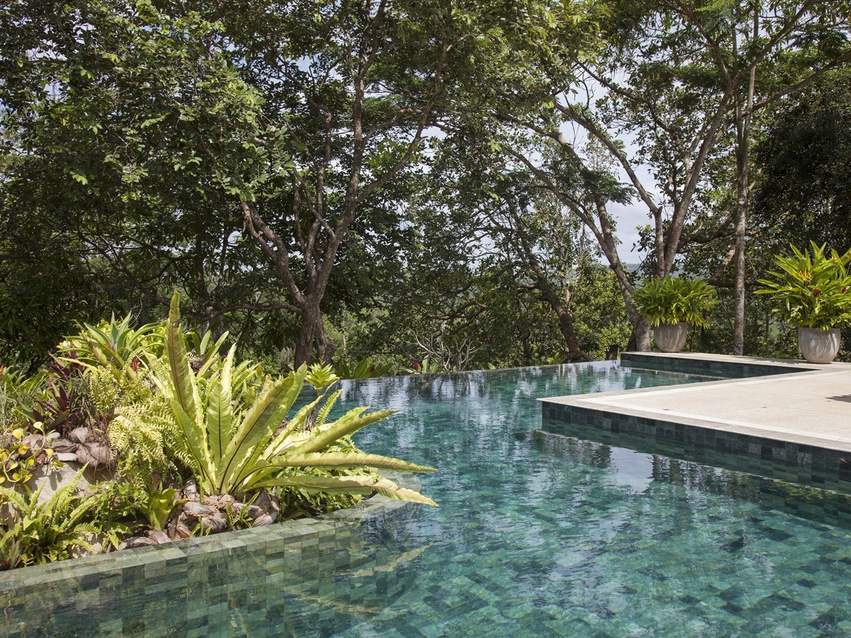 the swimming pool and gardens of sisindu t, sri lanka