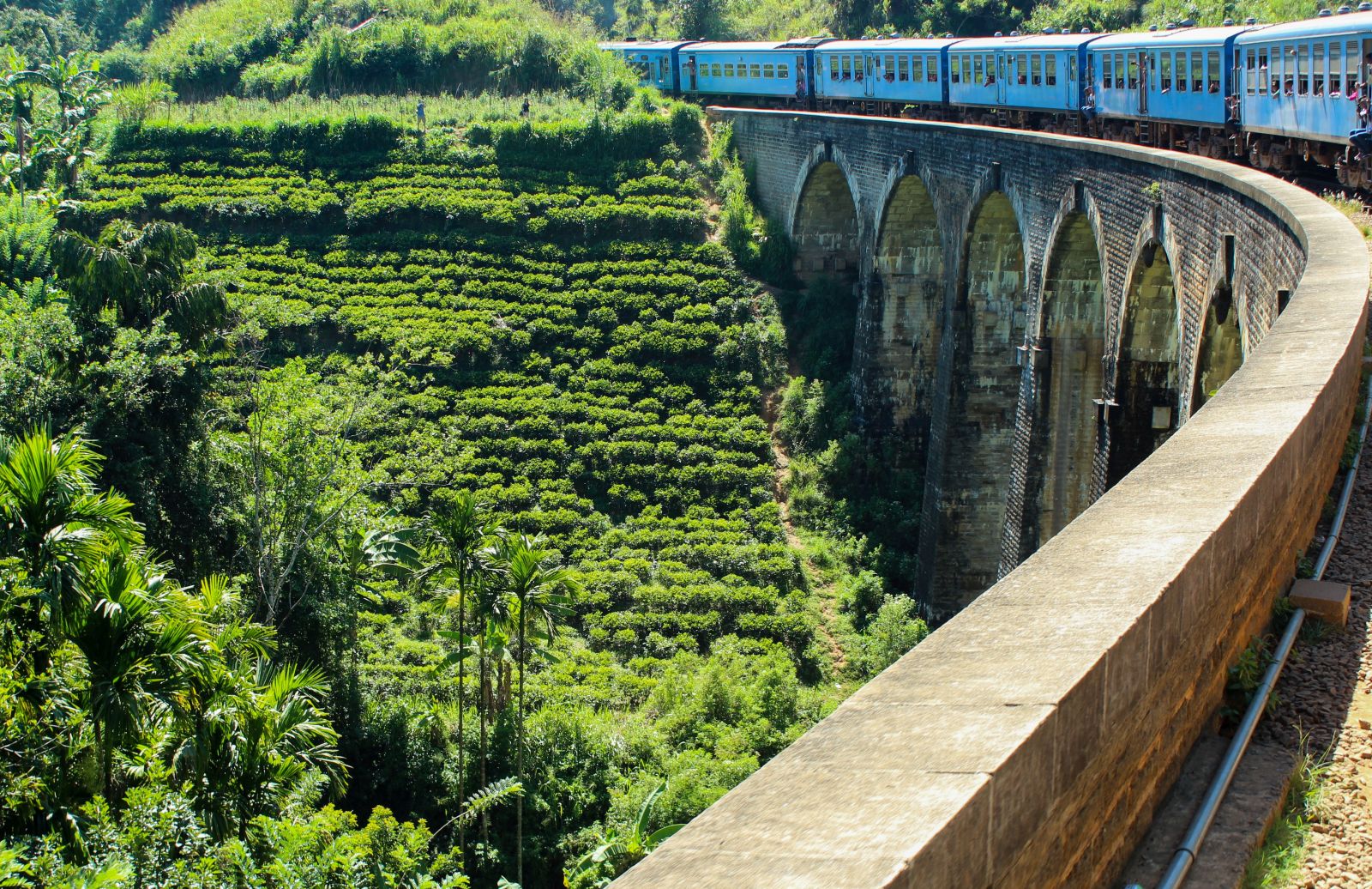 Train travelling through the tea country in Sri Lanka