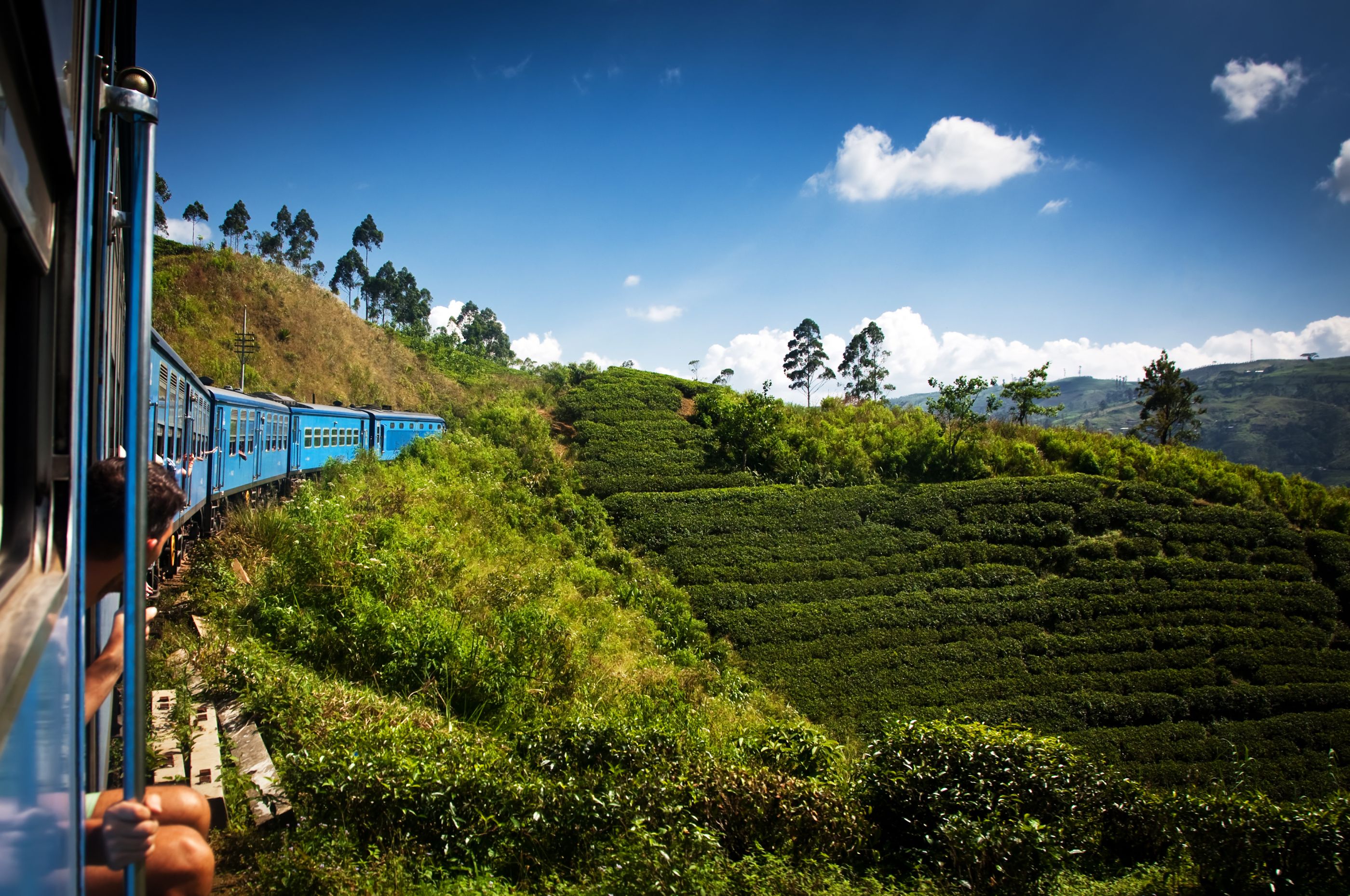 train trhough tea plantations, Sri Lanka