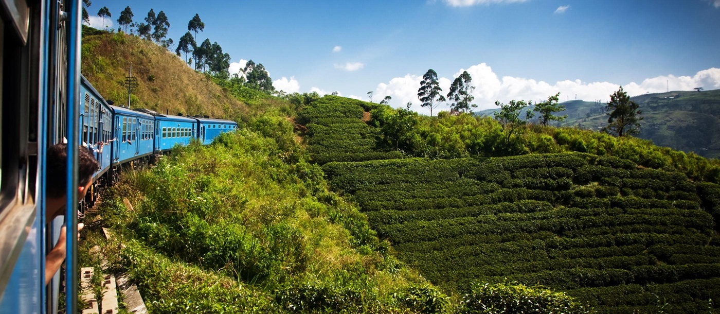 train trhough tea plantations, Sri Lanka