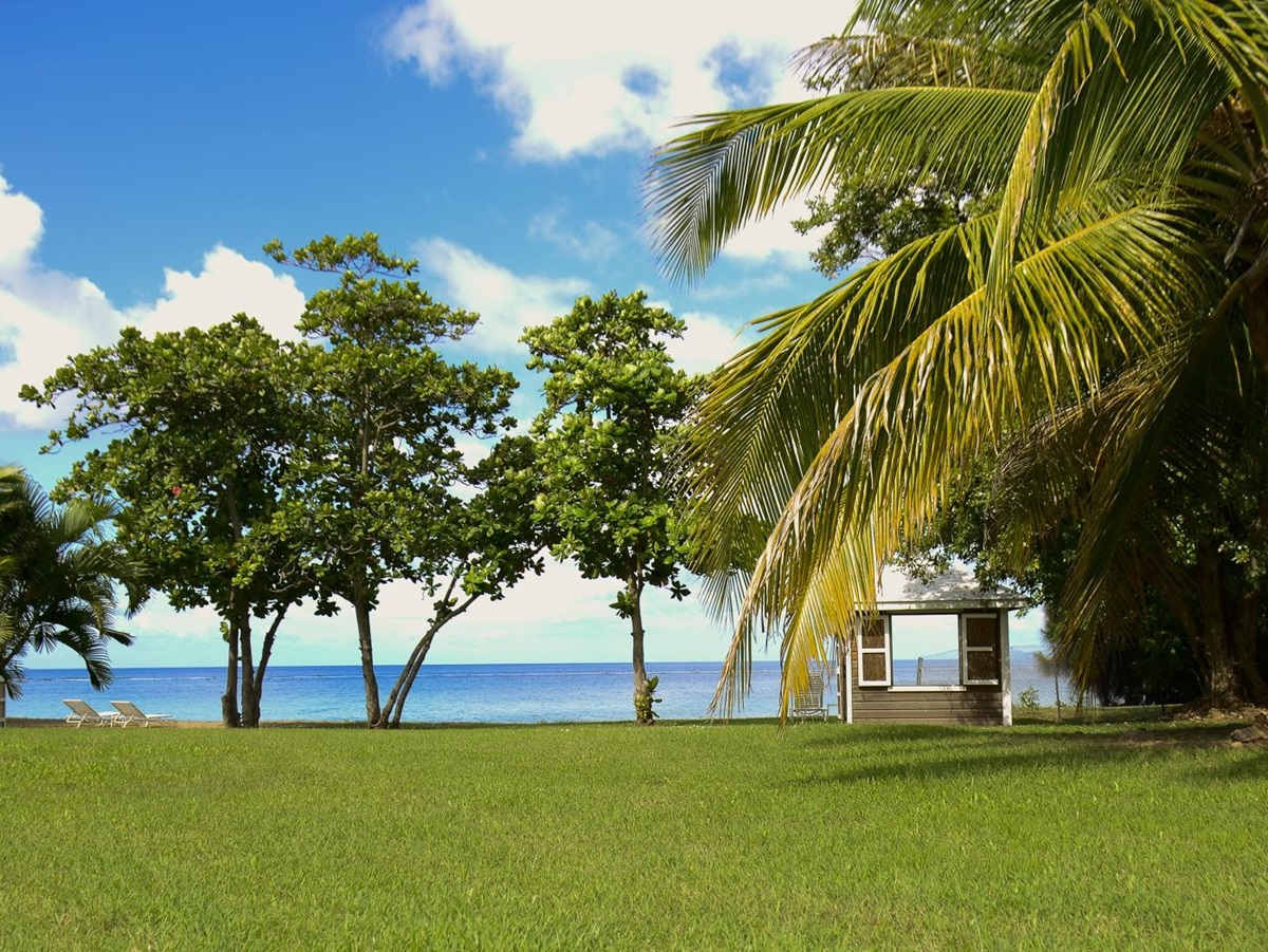 Small hut on the grass by the beach at Montpelier Nevis