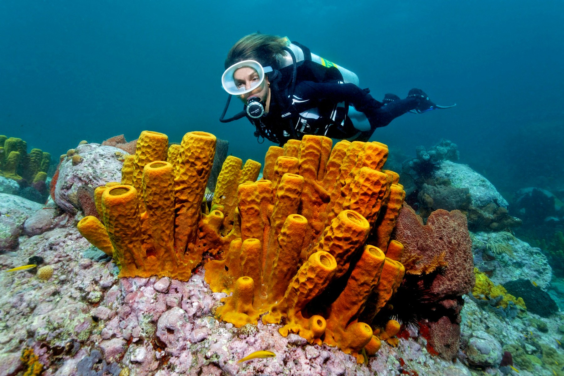 Scuba diver at Anse Chastanet, St Lucia