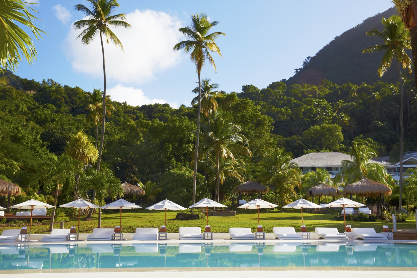 The swimming pool with sun loungers 